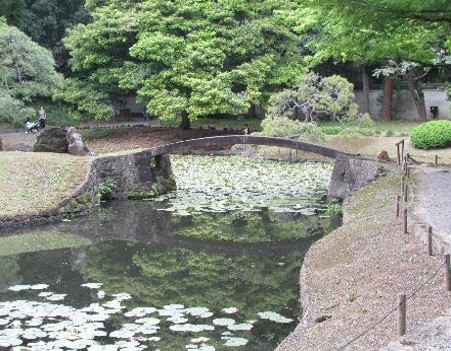 通天橋